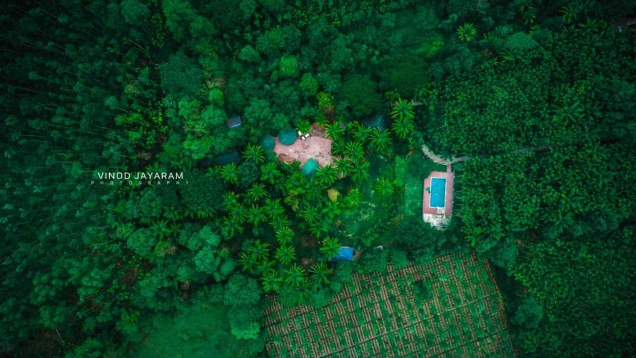Staymaker Coorg Jungle Stay Resort Kushālnagar Buitenkant foto