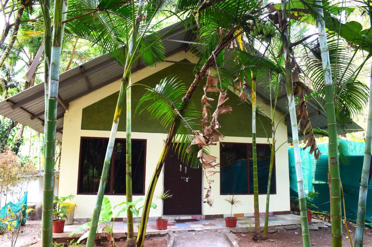 Staymaker Coorg Jungle Stay Resort Kushālnagar Buitenkant foto