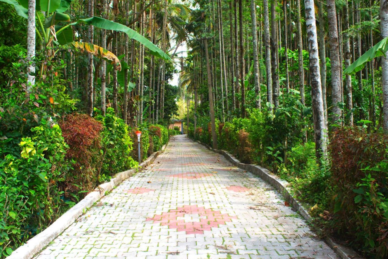 Staymaker Coorg Jungle Stay Resort Kushālnagar Buitenkant foto